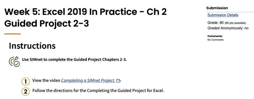 COMP100AssignmentsWeek 5: Excel 2019 In Practice - Ch 2 Guided Project 2-3
