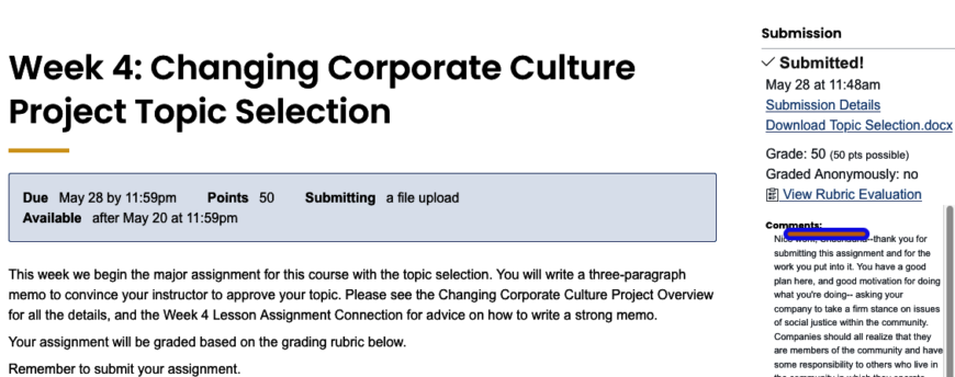 ENGL216AssignmentsWeek 4: Changing Corporate Culture Project