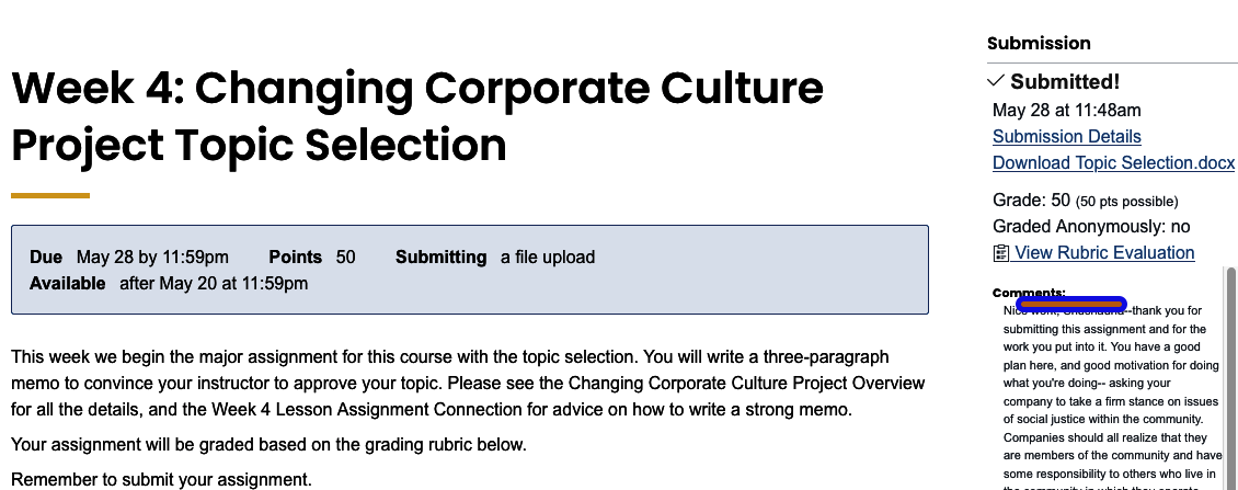 ENGL216AssignmentsWeek 4: Changing Corporate Culture Project