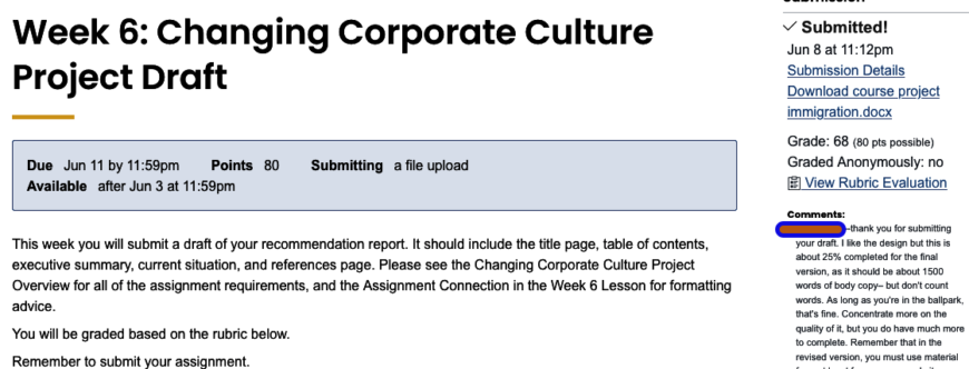 ENGL216AssignmentsWeek 6: Changing Corporate Culture Project