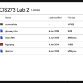 [NEW SOLN] CIS 273 LAB ASSIGNMENT 2 THREE WEB PAGES WITH HYPERLINKS