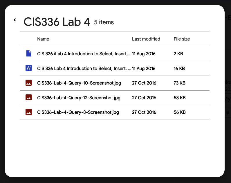 [NEW SOL] CIS336 LAB 4 INTRODUCTION TO SELECT INSERT UPDATE AND DELETE STATEMENTS