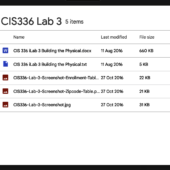 [NEW SOLN] CIS336 LAB 3 BUILDING THE PHYSICAL