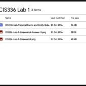 [NEW SOLN] CIS336 LAB 1 NORMAL FORMS AND ENTITY RELATIONSHIP DIAGRAMS