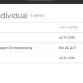 [NEW SOLN] PRG 211 WEEK 5 INDIVIDUAL ASSIGNMENT FILE PROCESSING